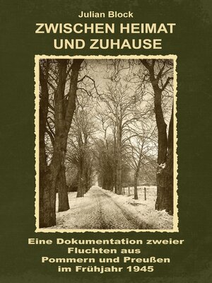 cover image of Zwischen Heimat und Zuhause